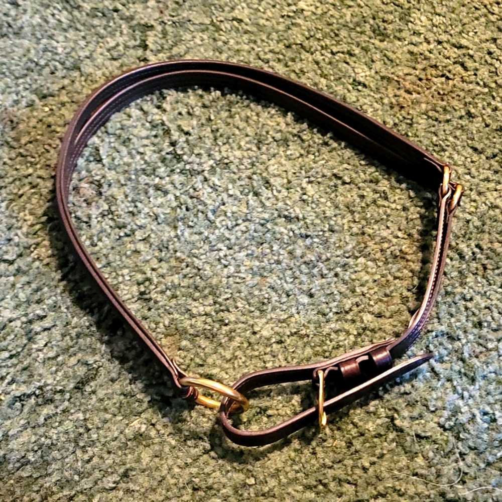 Nobel Outfitters Martingale belt, brown, large